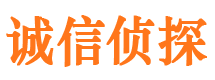 乃东市调查公司